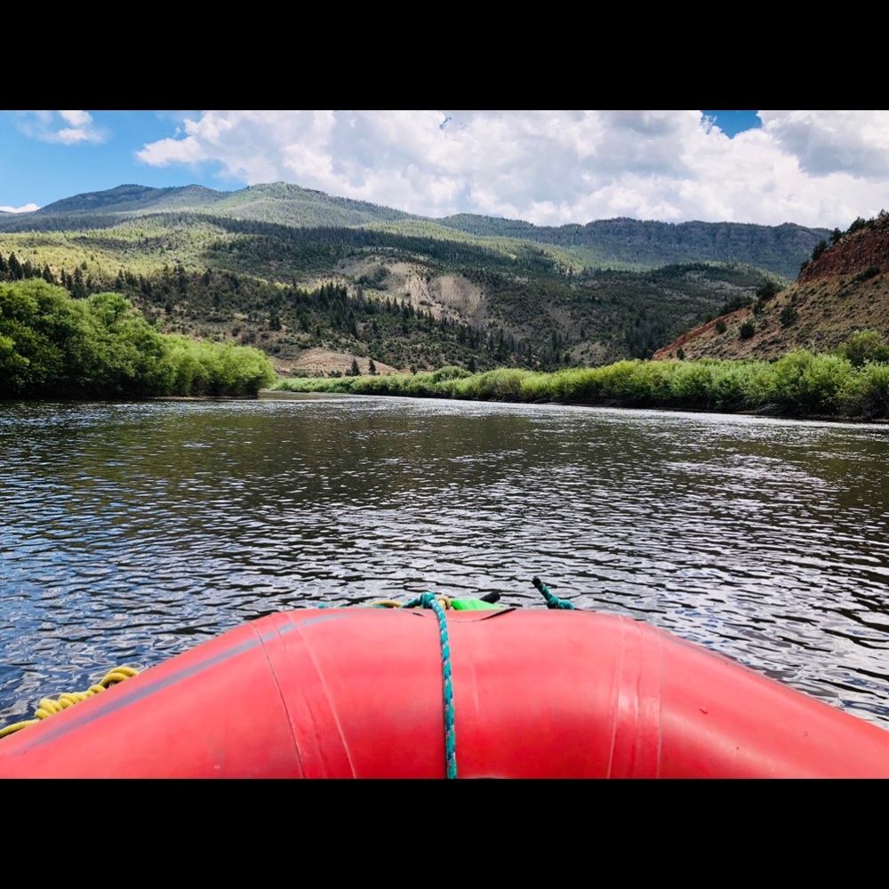 Meet your Posher, Kari